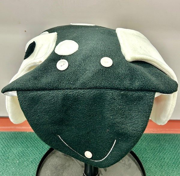 Pet Cushion - Children's Class with Kerry - 16 July 2024